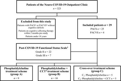 Exploring cognitive impairments and the efficacy of phosphatidylcholine and computer-assisted cognitive training in post-acute COVID-19 and post-acute COVID-19 Vaccination Syndrome